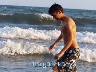 1BigDickBoyX
