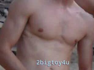 2bigtoy4u