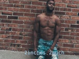 2inches_2much