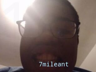 7mileant