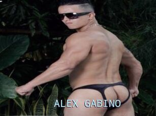 ALEX_GABINO