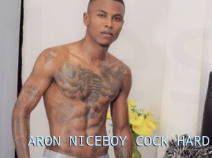 ARON_NICEBOY_COCK_HARD