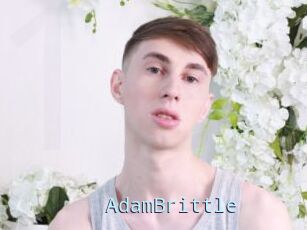 AdamBrittle