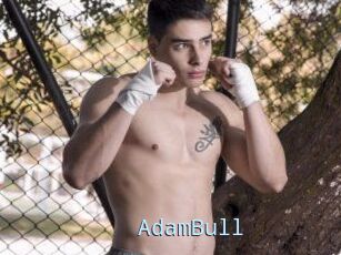 AdamBull