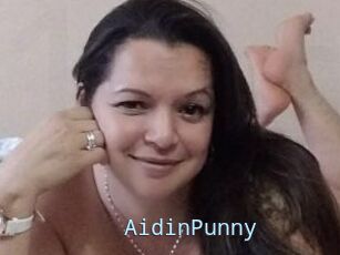 AidinPunny