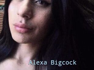 Alexa_Bigcock