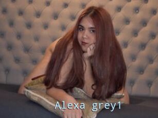 Alexa_grey1