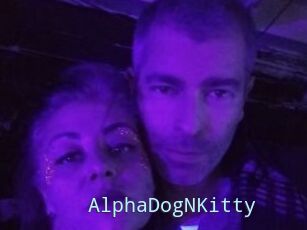 AlphaDogNKitty