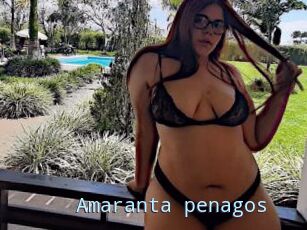 Amaranta_penagos