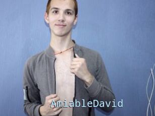 AmiableDavid