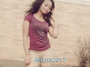 Amina2017