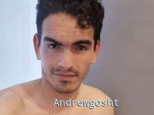Andrewgosht