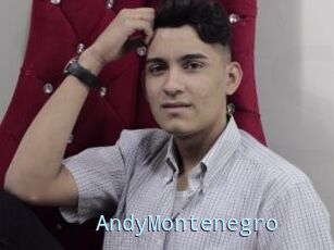 AndyMontenegro