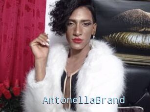 AntonellaBrand