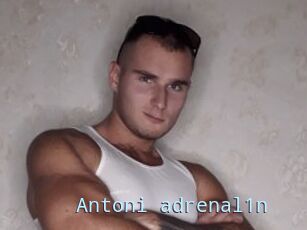 Antoni_adrenal1n