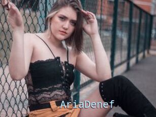 AriaDenef