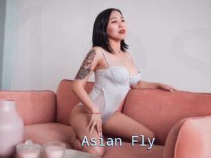 Asian_Fly