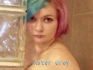 Aster_Grey