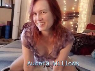 Aurora_Willows