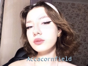 Accacornfield
