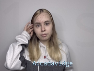 Accadavidge