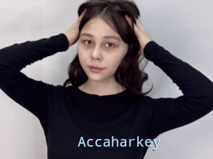 Accaharkey