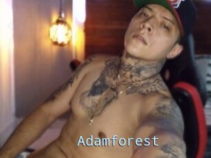 Adamforest