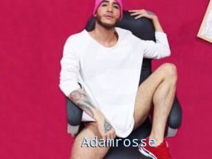 Adamrosse