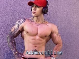 Adamscollims