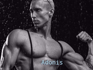 Adonis