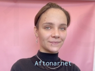 Aftonarnet