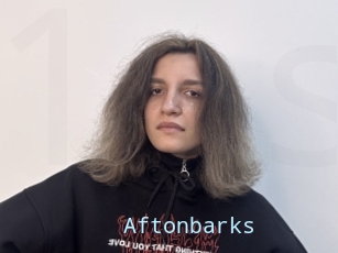 Aftonbarks