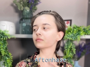Aftonhase
