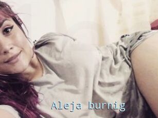 Aleja_burnig