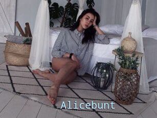 Alicebunt