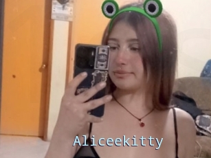 Aliceekitty