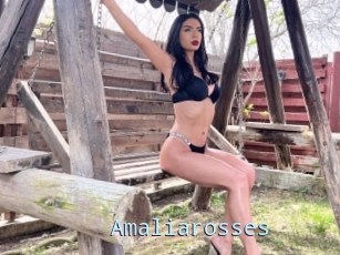 Amaliarosses