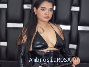 AmbrosiaROSA