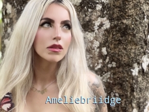 Ameliebriidge