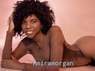 Amiramorgan