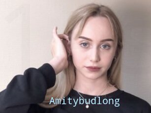 Amitybudlong