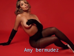 Amy_bermudez