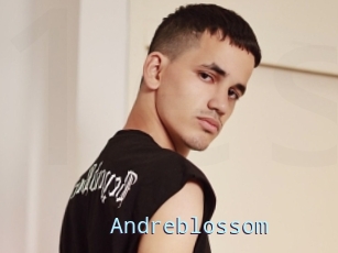 Andreblossom
