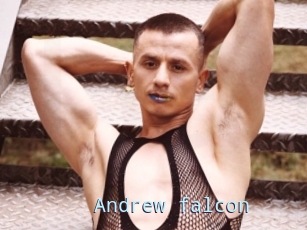 Andrew_falcon