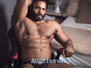 Angeloevans