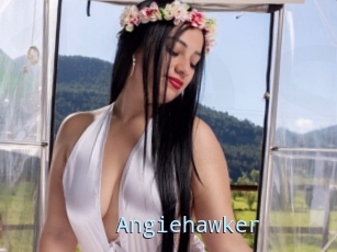 Angiehawker