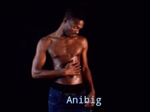 Anibig