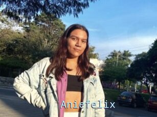 Aniefelix