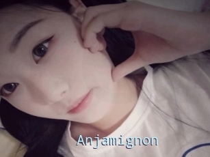 Anjamignon