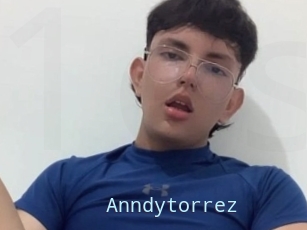 Anndytorrez